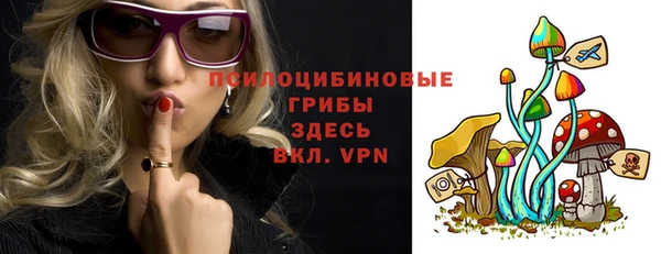Альфа ПВП Баксан