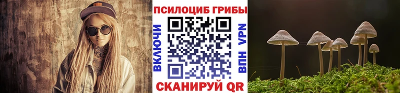 Псилоцибиновые грибы мухоморы  где продают   Губаха 